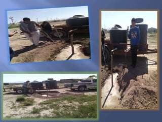 La reforestaciòn en utt