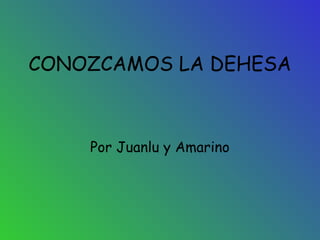 CONOZCAMOS LA DEHESA



    Por Juanlu y Amarino
 