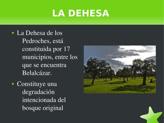    
LA DEHESA
● La Dehesa de los 
Pedroches, está 
constituida por 17 
municipios, entre los 
que se encuentra 
Belalcázar...