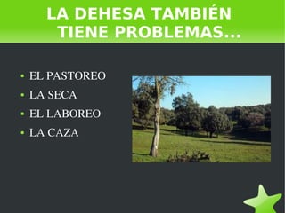    
LA DEHESA TAMBIÉN
TIENE PROBLEMAS...
● EL PASTOREO 
● LA SECA 
● EL LABOREO
● LA CAZA  
 