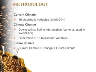 The implications of climate change for agriculture in Mesoamerica and the livelihoods of smallholder coffee farmers.