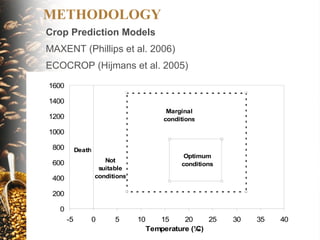 The implications of climate change for agriculture in Mesoamerica and the livelihoods of smallholder coffee farmers.