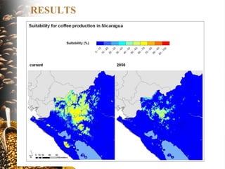 The implications of climate change for agriculture in Mesoamerica and the livelihoods of smallholder coffee farmers.
