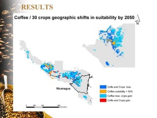 The implications of climate change for agriculture in Mesoamerica and the livelihoods of smallholder coffee farmers.