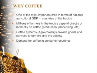 The implications of climate change for agriculture in Mesoamerica and the livelihoods of smallholder coffee farmers.