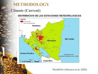 The implications of climate change for agriculture in Mesoamerica and the livelihoods of smallholder coffee farmers.