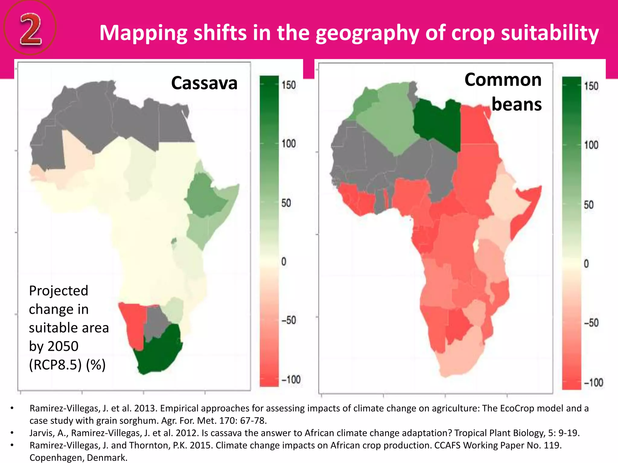 Cassava Common
beans
Mapping shifts in the geography of crop suitability
Projected
change in
suitable area
by 2050
(RCP8.5) (%)
• Ramirez-Villegas, J. et al. 2013. Empirical approaches for assessing impacts of climate change on agriculture: The EcoCrop model and a
case study with grain sorghum. Agr. For. Met. 170: 67-78.
• Jarvis, A., Ramirez-Villegas, J. et al. 2012. Is cassava the answer to African climate change adaptation? Tropical Plant Biology, 5: 9-19.
• Ramirez-Villegas, J. and Thornton, P.K. 2015. Climate change impacts on African crop production. CCAFS Working Paper No. 119.
Copenhagen, Denmark.
 