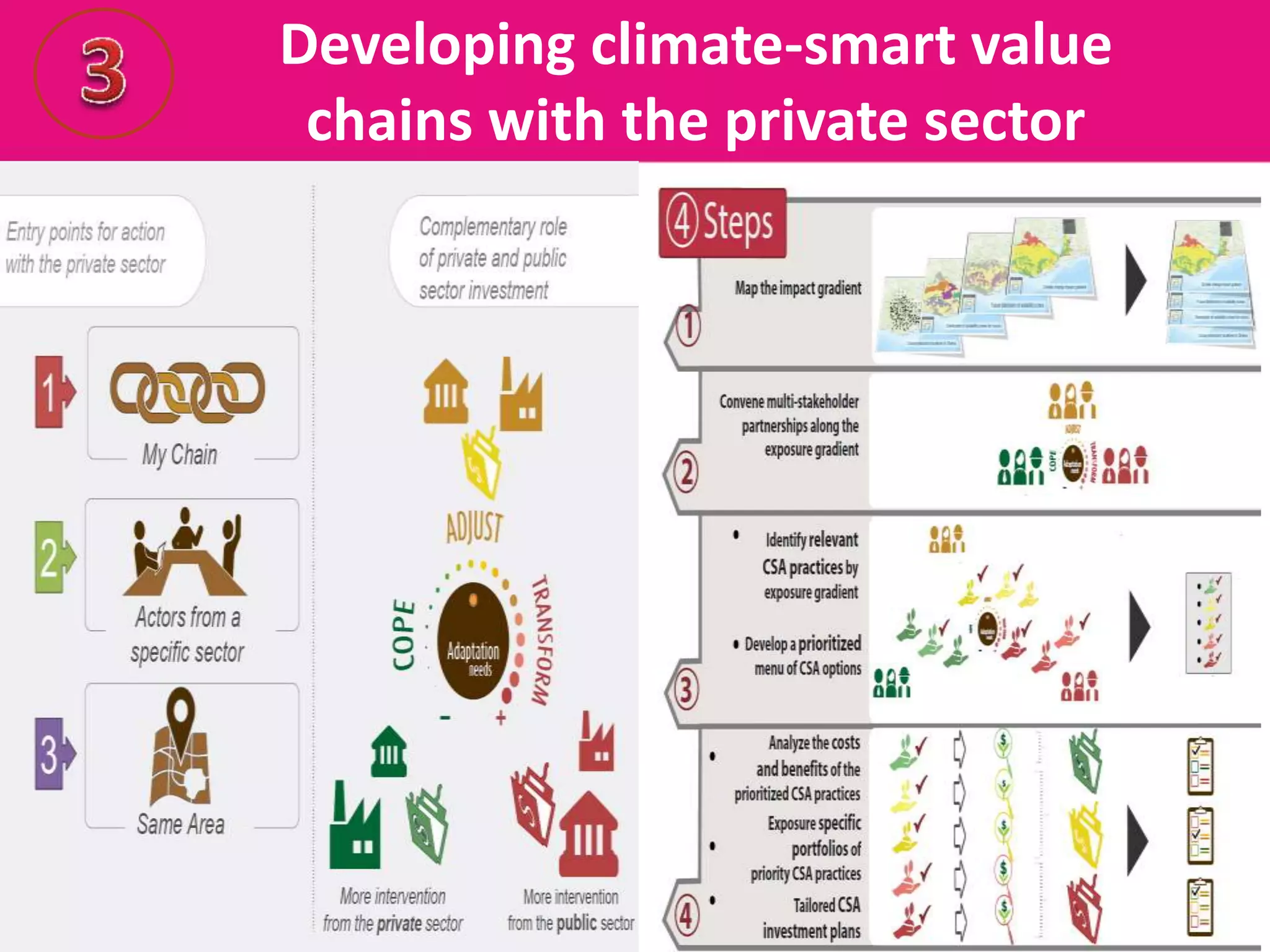 Developing climate-smart value
chains with the private sector
 