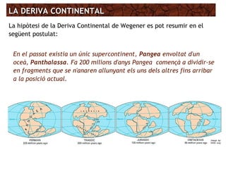 LA DERIVA CONTINENTALLA DERIVA CONTINENTAL
La hipòtesi de la Deriva Continental de Wegener es pot resumir en el
següent postulat:
En el passat existia un únic supercontinent, Pangea envoltat d'un
oceà, Panthalassa. Fa 200 milions d'anys Pangea començà a dividir-se
en fragments que se n'anaren allunyant els uns dels altres fins arribar
a la posició actual.
 