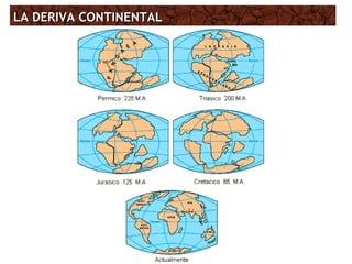 LA DERIVA CONTINENTALLA DERIVA CONTINENTAL
 