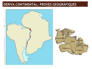 DERIVA CONTINENTAL: PROVES GEOGRÀFIQUESDERIVA CONTINENTAL: PROVES GEOGRÀFIQUES
 