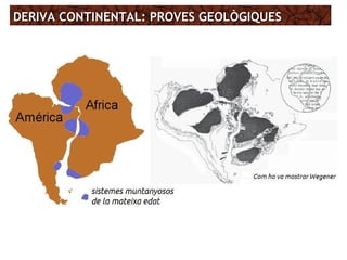 DERIVA CONTINENTAL: PROVES GEOLÒGIQUESDERIVA CONTINENTAL: PROVES GEOLÒGIQUES
 