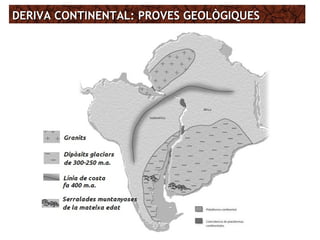 DERIVA CONTINENTAL: PROVES GEOLÒGIQUESDERIVA CONTINENTAL: PROVES GEOLÒGIQUES
 