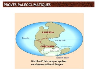 PROVES PALEOCLIMÀTIQUESPROVES PALEOCLIMÀTIQUES
 