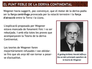 EL PUNT FEBLE DE LA DERIVA CONTINENTALEL PUNT FEBLE DE LA DERIVA CONTINENTAL
Wegener havia suggerit, poc convençut, que el motor de la deriva podia
ser la força centrífuga provocada per la rotació terrestre i la força
d'atracció entre la Terra i la Lluna.
L'explicació proposada per Wegener
estava mancada de fonament físic i va ser
rebutjada. I amb ella totes les proves que
acompanyaven la Teoria de la deriva
Continental.
Les teories de Wegener foren
majoritàriament refusades i van oblidar-
se fins que als anys 60 van tornar a posar-
se d'actualitat.
 