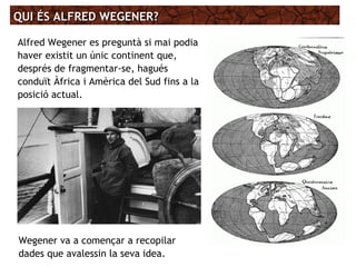 Alfred Wegener es preguntà si mai podia
haver existit un únic continent que,
després de fragmentar-se, hagués
conduït Àfrica i Amèrica del Sud fins a la
posició actual.
QUI ÉS ALFRED WEGENER?QUI ÉS ALFRED WEGENER?
Wegener va a començar a recopilar
dades que avalessin la seva idea.
 