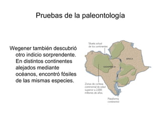 Pruebas de la paleontología



Wegener también descubrió
 otro indicio sorprendente.
 En distintos continentes
 alejados mediante
 océanos, encontró fósiles
 de las mismas especies.
 