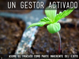 Photo by floresyplantas.net - Creative Commons Attribution-NonCommercial-ShareAlike License https://www.flickr.com/photos/34602815@N07	
   Created with Haiku Deck	
  
 