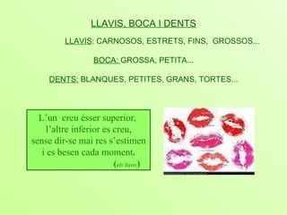 LLAVIS, BOCA I DENTS   LLAVIS : CARNOSOS, ESTRETS, FINS,  GROSSOS... BOCA:  GROSSA, PETITA... DENTS:  BLANQUES, PETITES, GRANS, TORTES... L’un  creu ésser superior,  l’altre  in ferior es creu, sense dir-se mai res s’estimen i es besen cada moment . ( els llavis ) 
