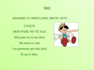 NAS     AGUILENC, FI, GROS LLARG, RECTE, XATO  … CANÇÓ MON PARE NO TÉ NAS Mon pare no té nas (bis) Ma mare és xata I un germanet que tinc (bis) El nas li falta. 