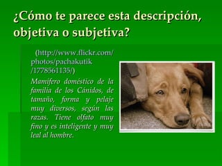 ¿Cómo te parece esta descripción,
objetiva o subjetiva?
     (http://www.flickr.com/
   photos/pachakutik
   /1778561135/)
   Mamífero doméstico de la
   familia de los Cánidos, de
   tamaño, forma y pelaje
   muy diversos, según las
   razas. Tiene olfato muy
   fino y es inteligente y muy
   leal al hombre.
 