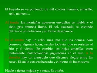 El hayedo se va poniendo de mil colores: naranja, amarillo,
   rojo, marrón…

Al fondo, las montañas aparecen envueltas en niebla y el
  cielo gris anuncia lluvia. El sol, asustado, se esconde
  detrás de un nubarrón y su brillo desaparece.

En el centro hay un árbol más lato que los demás. Aún
  conserva algunas hojas, verdes todavía, que se resisten al
  frío y al viento. En cambio, las hojas amarillas caen
  lentamente, balanceándose juguetonas en el aire. A la
  derecha hay un arroyuelo que discurre alegre entre las
  rocas. El suelo está encharcado y cubierto de hojas secas.

Huele a tierra mojada y a setas. Es otoño.
 