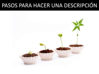 PASOS PARA HACER UNA DESCRIPCIÓN
 