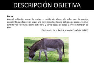 DESCRIPCIÓN OBJETIVA
Burro:
Animal solípedo, como de metro y medio de altura, de color, por lo común,
ceniciento, con las orejas largas y la extremidad de la cola poblada de cerdas. Es muy
sufrido y se le emplea como caballería y como bestia de carga y a veces también de
tiro.
Diccionario de la Real Academia Española (DRAE)
 