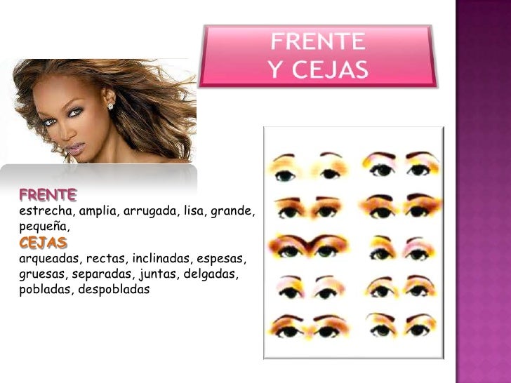 La descripción "El Retrato"