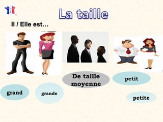 petit
grande
Il / Elle est…Il / Elle est…
petite
grand
De taille
moyenne