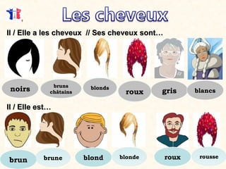 bruns
châtains
Il / Elle a les cheveux // Ses cheveux sont…Il / Elle a les cheveux // Ses cheveux sont…
noirs blonds
roux gris blancs
Il / Elle est…Il / Elle est…
brun brune blond blonde roux rousse