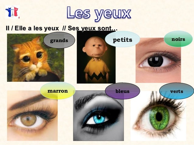 La Description Physique