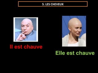 5. LES CHEVEUX




Il est chauve
                    Elle est chauve
 