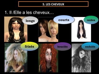 5. LES CHEVEUX

1. Il /Elle a les cheveux…
           longs
            longs             courts
                              courts     raides
                                          raides




          frisés
           frisés            bouclés
                              bouclés   ondulés
                                         ondulés
 