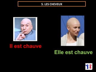 5. LES CHEVEUX 
Il est chauve 
Elle est chauve 
 