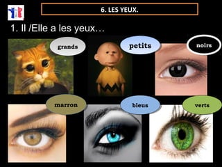 6. LES YEUX. 
1. Il /Elle a les yeux… 
ggrraannddss ppeettiittss nnooiirrss 
mmaarrrroonn bblleeuuss vveerrttss 
 