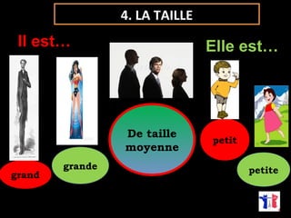 Il est… Elle est… 
ppeettiitt 
4. LA TAILLE 
De taille 
moyenne 
De taille 
moyenne 
ggrraannddee ppeettiittee ggrraanndd 
 