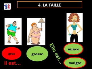 ggrrooss ggrroossssee 
mmiinnccee 
mmaaiiggrree 
4. LA TAILLE 
Il est… 
Elle est… 
 