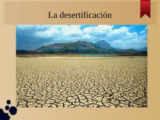La desertificación
 