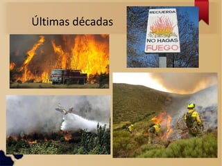 Últimas décadas
 
