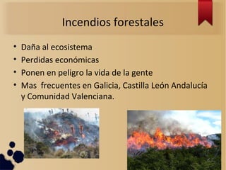 Incendios forestales
• Daña al ecosistema
• Perdidas económicas
• Ponen en peligro la vida de la gente
• Mas frecuentes en Galicia, Castilla León Andalucía
y Comunidad Valenciana.
 
