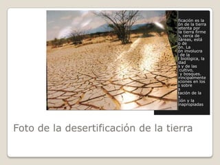 Foto de la desertificación de la tierraLa desertificación es la degradación de la tierra firme. El setenta por ciento de la tierra firme del mundo, cerca de 3,600 hectáreas, está en proceso de degradación. La degradación involucra la pérdida de la diversidad biológica, la productividad económica y de las tierras de cultivo, pastizales y bosques. Se debe principalmente a las variaciones en los climas, los sobre cultivos, la sobrexplotación de la pastura, la deforestación y la prácticas inapropiadas de riego.