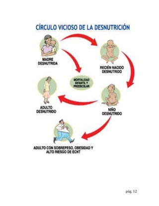 La desnutrición en el perú