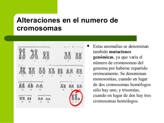mexicano numeros de chicas sexo mexicano numeros de chicas sexo