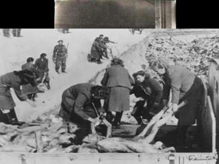 Les Juifs Les Juifs : « parasites » ou de la « vermine »: ennemis de toutes les races; ≠ intégration; exclusion  de la communauté du peuple allemand -  1% de la population allemande/ responsables de la défaite allemande ainsi que de la décadence culturelle, physique et sociale de la civilisation aryenne dite « supérieure ». 1933: les docteurs, les avocats et les commerçants juifs: boycott;  exclusion des Juifs de tous les emplois dans les gouvernements (sauf les anciens combattants et ceux qui sont en service depuis + de 10 ans) -loi « pour le rétablissement d’une fonction publique professionnelle ». 1935:  Proclamation des lois de Nuremberg (les lois « pour la protection du sang et de l’honneur allemand » et « sur la citoyenneté du Reich »). Conséquences: L’accès aux emplois de la fonction publique et aux postes dans les universités, l’enrôlement dans l’armée ou la pratique de professions libérales, la possession de permis de conduire,  les mariages mixtes ou les relations sexuelles entre Juifs et Allemands=  interdictions. Retrait de leur citoyenneté. Ils sont une autre race: exploitation + extermination.  Ségrégation complète entre le peuple allemand et les Juifs. 1937:« loi d’aryanisation »: les Juifs sont dépossédés de leurs entreprises.  Lourdement frappés par ces mesures discriminatoires, les Juifs allemands émigrent massivement vers l’Amérique, la Palestine ou l’Europe de l’Ouest. 