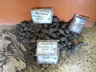 Solid Waste Management