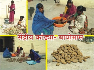 Solid Waste Management