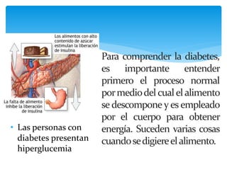 Para comprender la diabetes,
es importante entender
primero el proceso normal
pormediodelcual elalimento
se descompone y es empleado
por el cuerpo para obtener
energía. Suceden varias cosas
cuandosedigiereelalimento.
• Las personas con
diabetes presentan
hiperglucemia