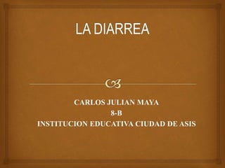 CARLOS JULIAN MAYA 
8-B 
INSTITUCION EDUCATIVA CIUDAD DE ASIS 
 
