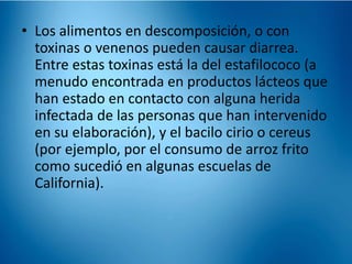 • Los alimentos en descomposición, o con 
toxinas o venenos pueden causar diarrea. 
Entre estas toxinas está la del estafilococo (a 
menudo encontrada en productos lácteos que 
han estado en contacto con alguna herida 
infectada de las personas que han intervenido 
en su elaboración), y el bacilo cirio o cereus 
(por ejemplo, por el consumo de arroz frito 
como sucedió en algunas escuelas de 
California). 
